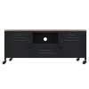 Oswestry TV Cabinet Black 110x30x43 cm Iron and Solid Wood Fir