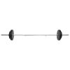 Barbell and Dumbbell with Plates – Straight bar + curl bar + dumbbell bar, 60 kg