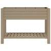 Garden Raised Bed 110x45x79 cm Polypropylene – Light Brown